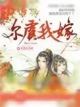《尔虞我嫁》小说封面