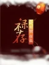 《禄存》小说封面