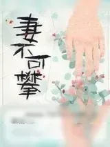 《妻不可攀》小说封面