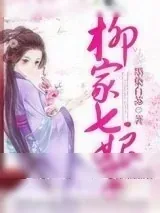 《柳家七娘子》小说封面