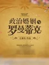 《政治婚姻与罗曼蒂克》小说封面