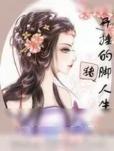 《开挂的猪脚人生》小说封面
