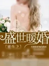 《重生之盛世暖婚》小说封面