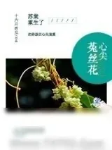 《心尖菟丝花[重生]》小说封面
