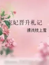 《宠妃晋升札记》小说封面