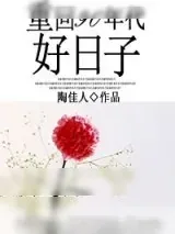 《重回90年代好日子》小说封面