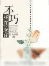 《不巧，我在等你》小说封面