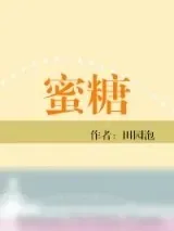 《蜜糖（食之有味）》小说封面