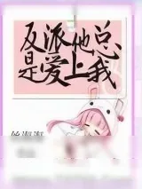 《反派他总是爱上我》小说封面