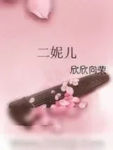 《二妮儿》小说封面