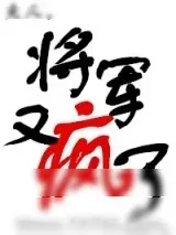 《夫人，将军又疯了》小说封面