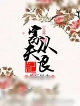 《寡夫从良记》小说封面