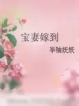 《宝妻嫁到》小说封面