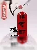 《将军卸甲难归田》小说封面