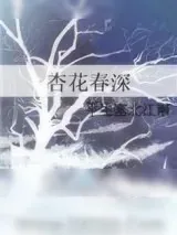 《杏花春深》小说封面