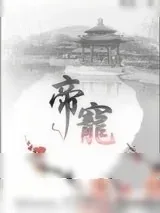 《帝宠》小说封面