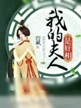 《女奸相直播间》小说封面