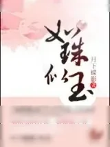 《如珠似玉》小说封面