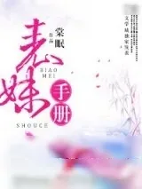 《表妹手册》小说封面