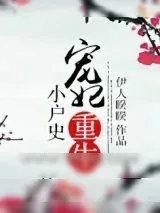 《宠妃重生小户史》小说封面
