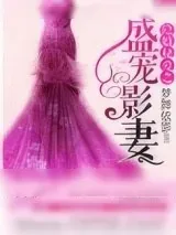 《隐婚秘爱之盛宠影妻》小说封面