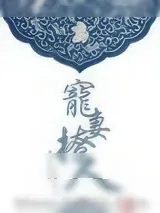 《宠妻撩人》小说封面