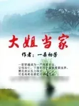 《大姐当家》小说封面