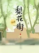 《梨花街》小说封面