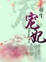 《重生宠妃上位记》小说封面