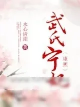 《武氏宁妃（康熙）》小说封面
