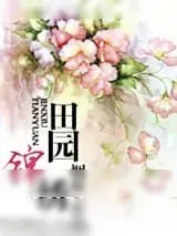 《田园锦绣》小说封面