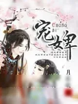 《宠妃》小说封面