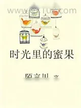 《时光里的蜜果》小说封面