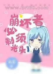 《[网王]崩坏者必须剃光头》小说封面