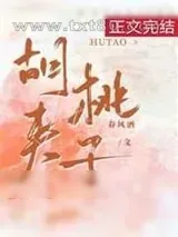《胡桃夹子》小说封面