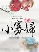 《田园小寡妇》小说封面