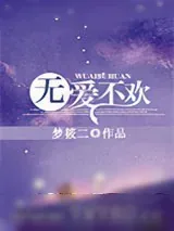 《无爱不欢》小说封面