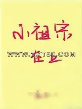 《妈妈让我照顾妹妹，结果把妹妹照顾成了祖宗》小说封面