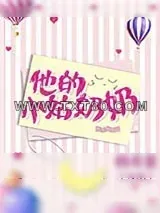 《他的小姑奶奶》小说封面
