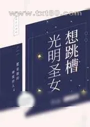 《光明圣女想跳槽》小说封面