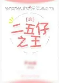《二五仔之王》小说封面