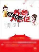 《童养媳入宫记》小说封面