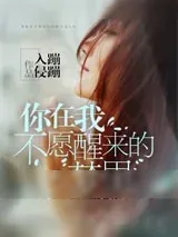 《你在我不愿醒来的梦里》小说封面