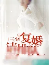 《三少，复婚请排队》小说封面