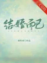 《结婚而已》小说封面