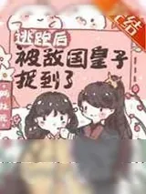 《逃跑后被敌国皇子捉到了》小说封面