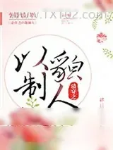《清穿之以貌制人》小说封面
