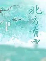 《北方有雪》小说封面