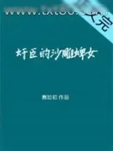 《奸臣的话痨婢女》小说封面