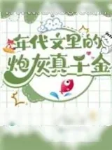 《年代文里的炮灰真千金》小说封面